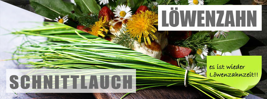 Löwenzahn & Schnittlauchzeit
